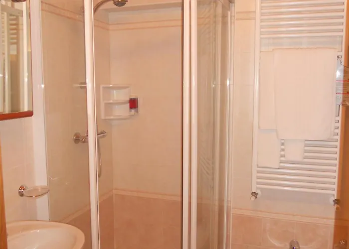 Stella Alpina Hotel 3*