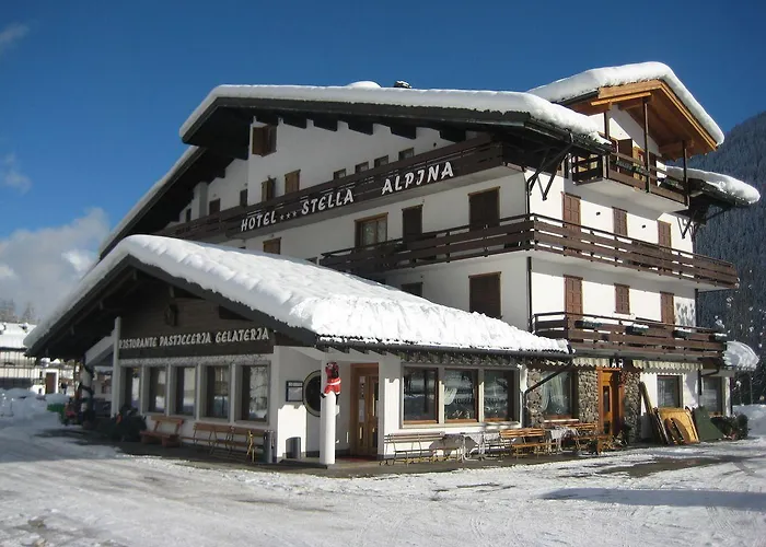 Stella Alpina