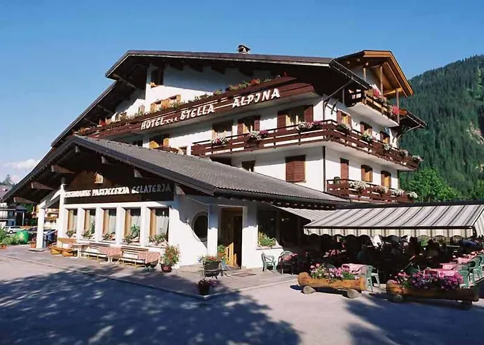 Stella Alpina Hotel 3*