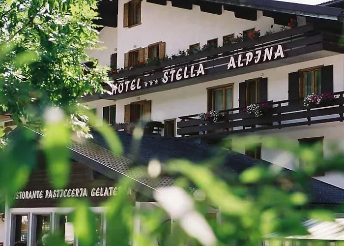 Stella Alpina Hotel 3*