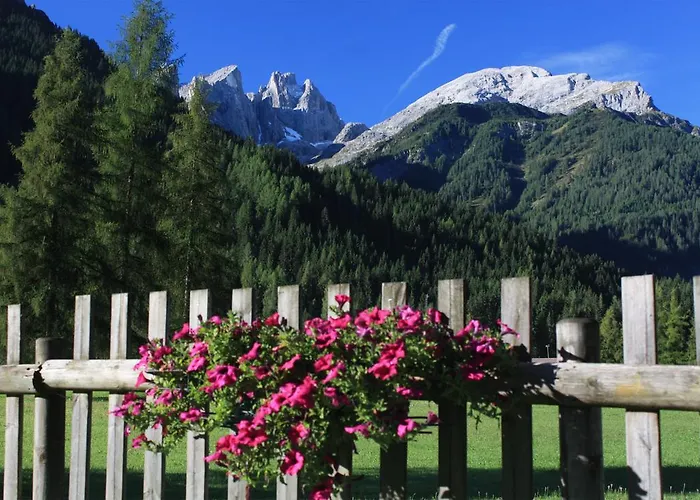 Hotel Stella Alpina 3*