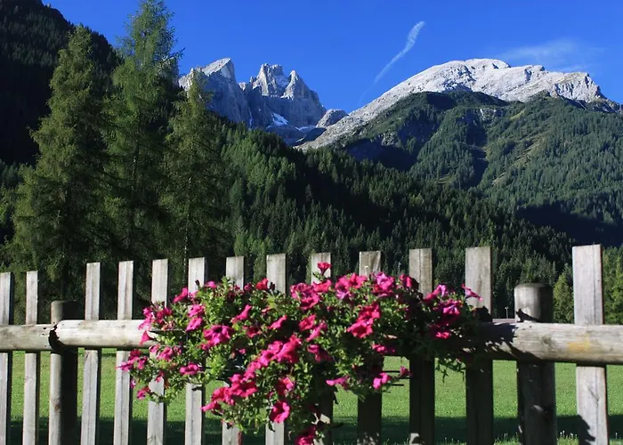 Stella Alpina Hotel