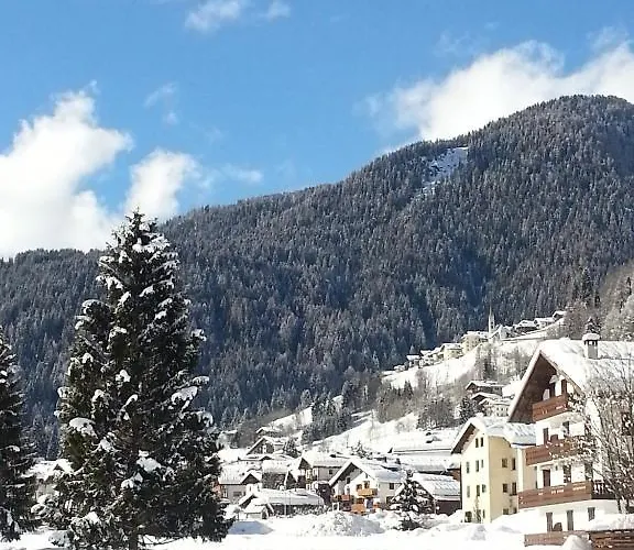 Stella Alpina