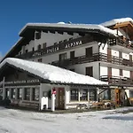 Stella Alpina