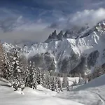 Stella Alpina
