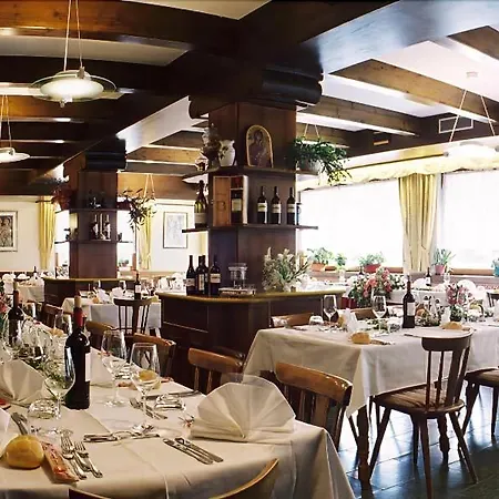 Stella Alpina Hotel