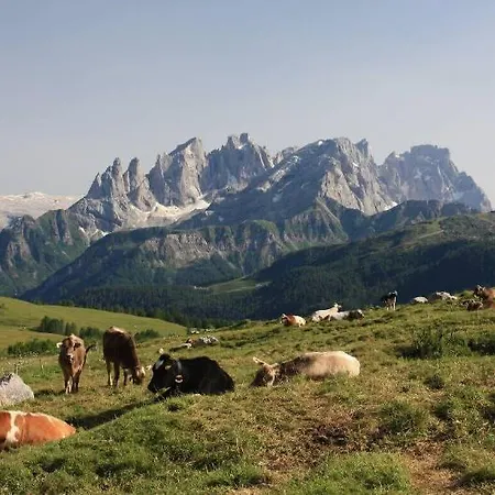 Hotel Stella Alpina Falcade