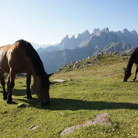 Stella Alpina Hotel 3*