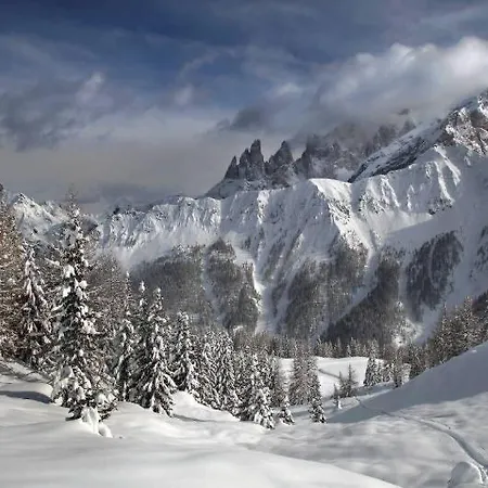 Stella Alpina Falcade