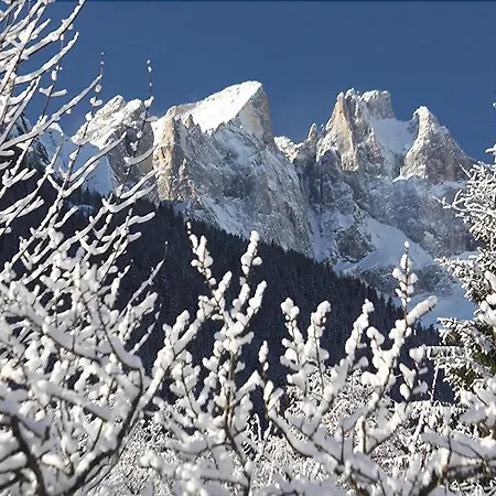 Hotel Stella Alpina