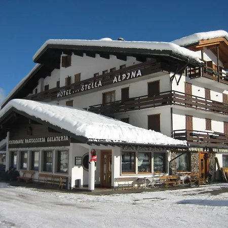 Stella Alpina