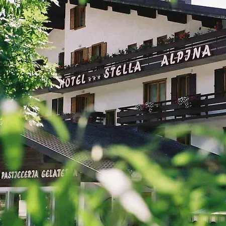 Stella Alpina Hotel 3*