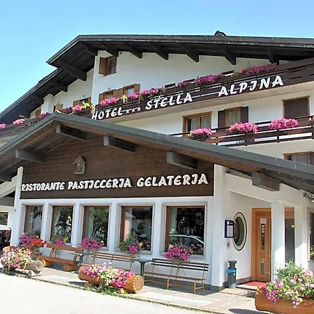 Stella Alpina Falcade
