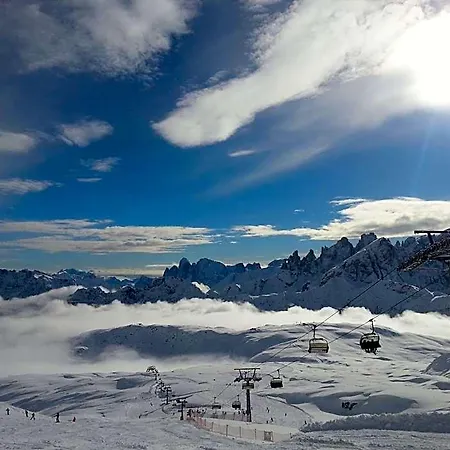 Stella Alpina
