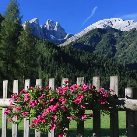 Hotel Stella Alpina 3*