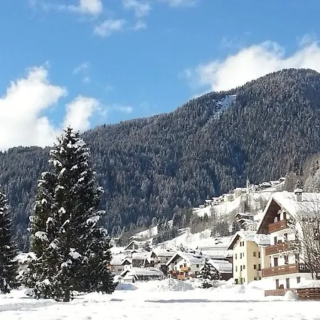 Stella Alpina
