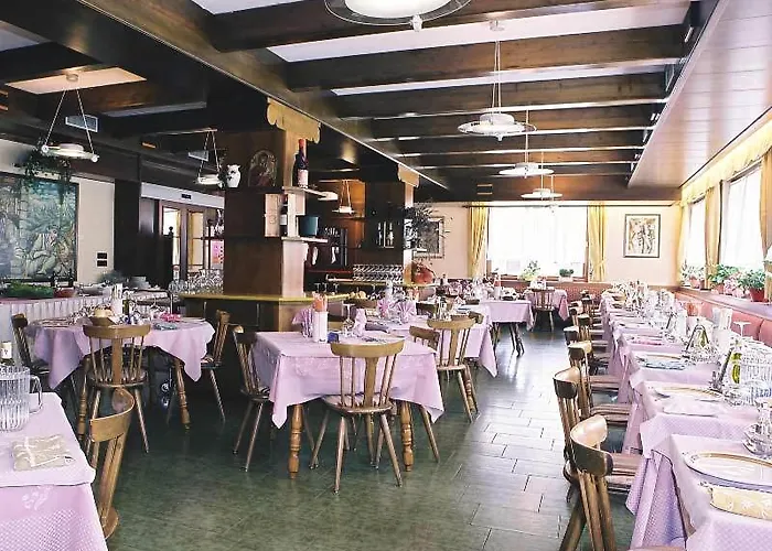 Stella Alpina Falcade