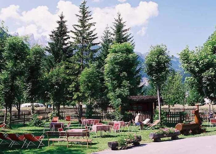 Stella Alpina Falcade