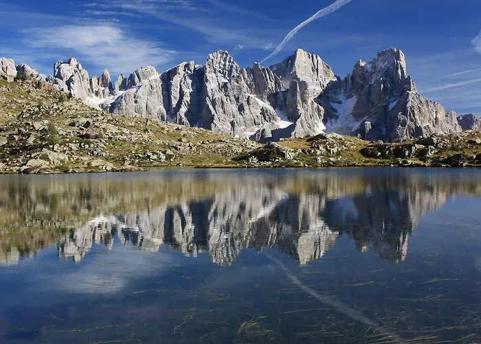 Stella Alpina Falcade