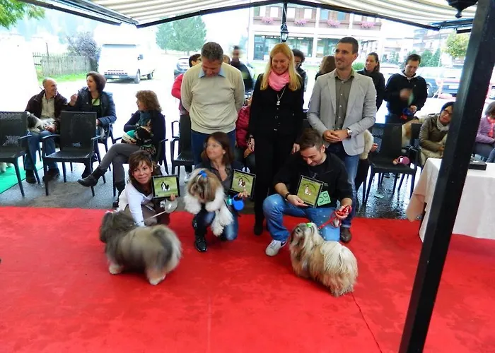 Hotel Stella Alpina 3*