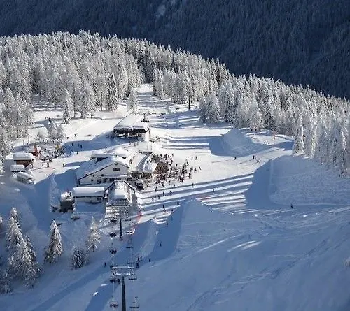 Stella Alpina