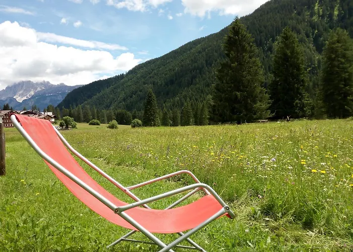 Stella Alpina Falcade